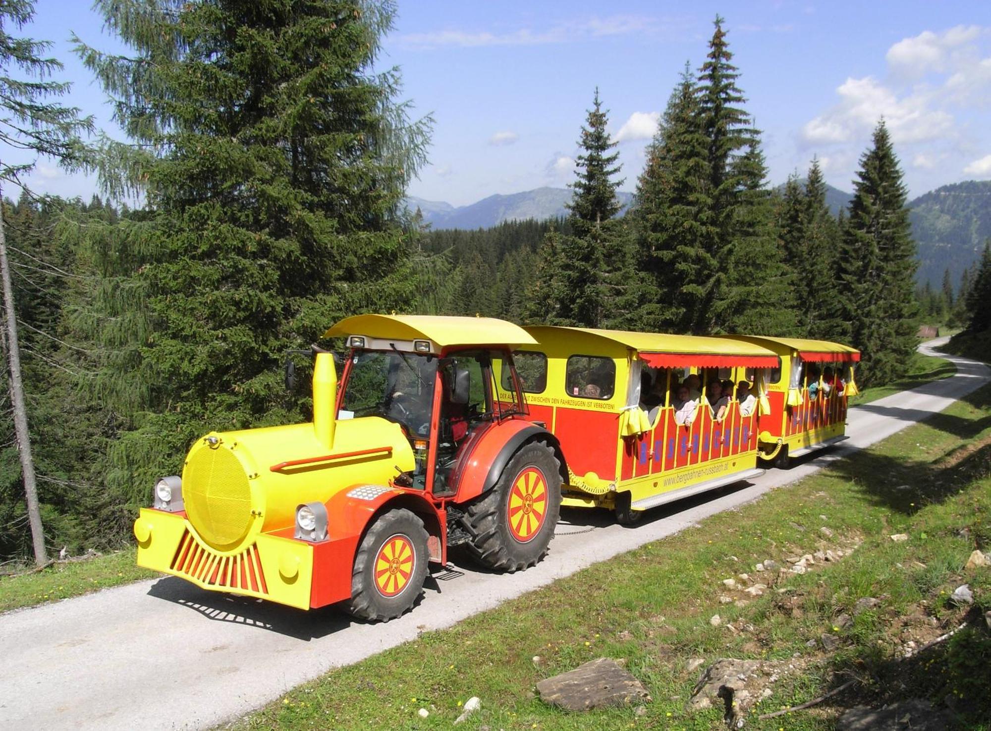 Dachstein West Hotel Gmbh-Kirchenwirt Russbach 루스바흐 암 파스 그슈에트 외부 사진